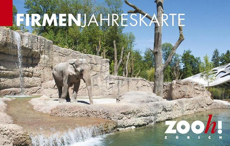 Für unsere Mitarbeiter:innen – Gratis in den Zürcher Zoo